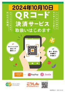 PayPay_JCoinパンフレットのサムネイル